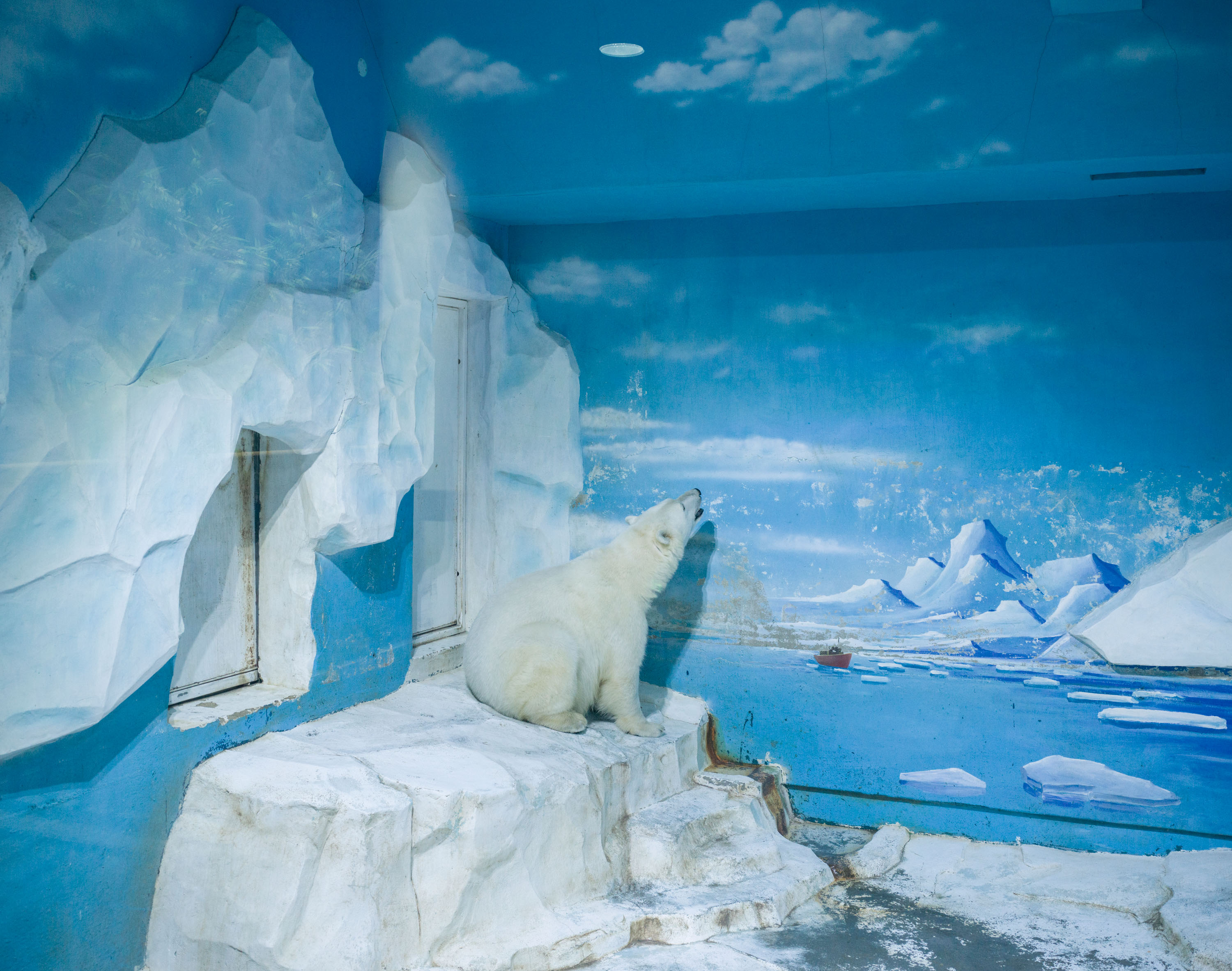 polar bear in an enclosure painted to resemble the Artic landscape