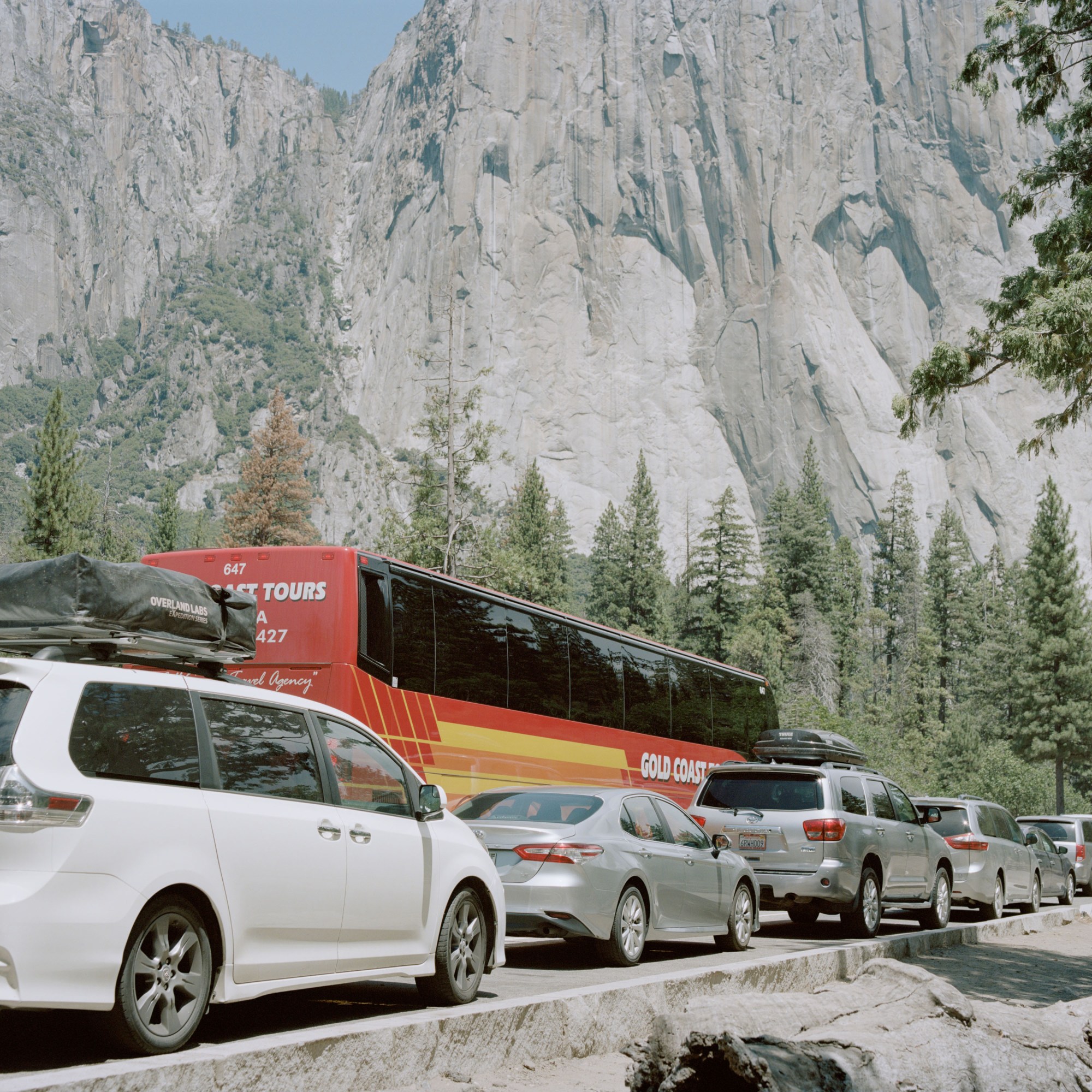buses and cars in traffic on a road in Yosemite