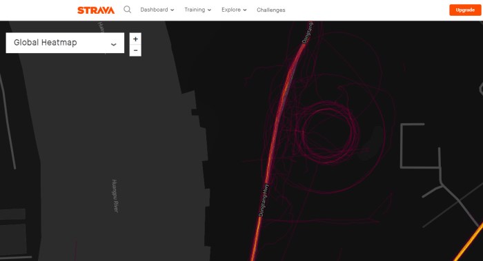 Strava screenshot